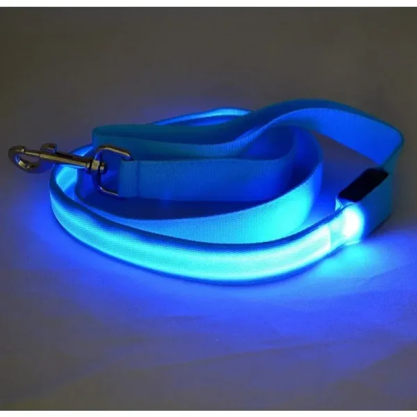 Luminous Dog Leash