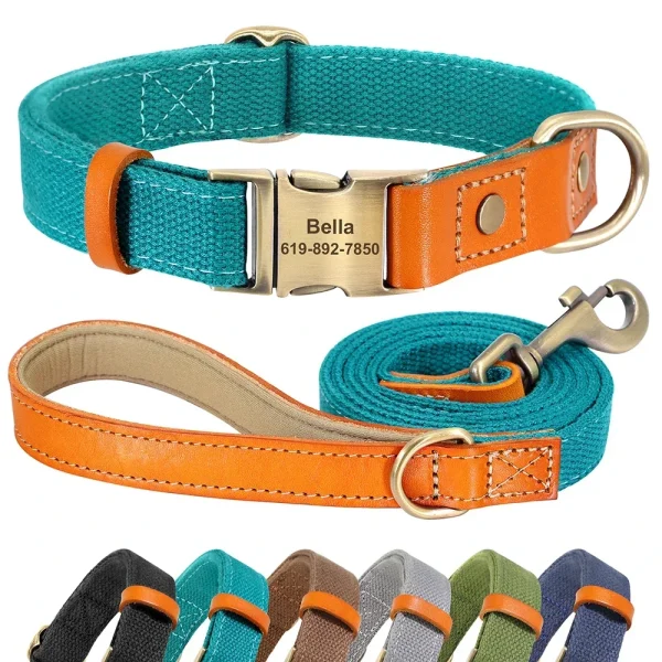 Dog Puppy Collar Leash