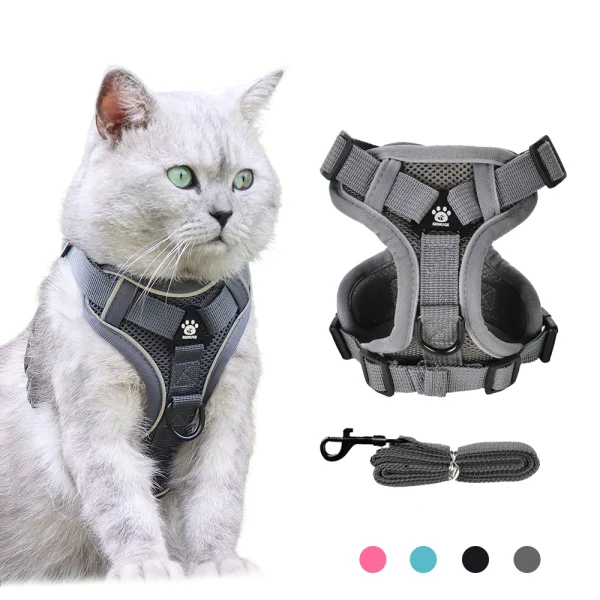Harness Leash For Small Dogs, Cats