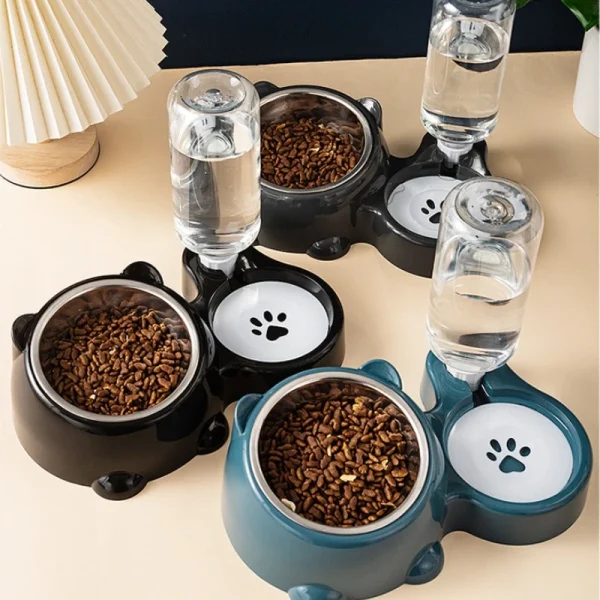 2 in 1 Automatic Pet Feeder